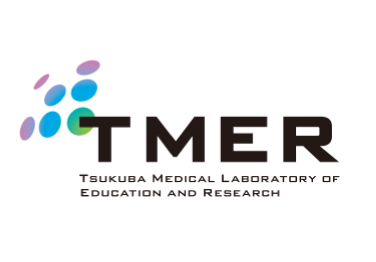 Проект TMER для зарубежных стажеров 2017