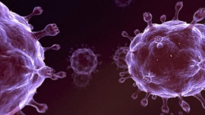 На Конгрессе обсудят  лекарственную устойчивость  вируса  иммунодефицита человека