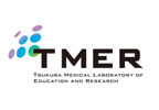Проект TMER для зарубежных стажеров 2017