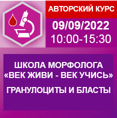 Изображение выглядит как текст Автоматически созданное описание