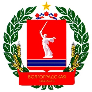 Волгоград: пресс-релиз Школы главного специалиста 08 октября 2015 года