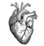 Первая Школа гемостаза для кардиологов и сердечно-сосудистых хирургов