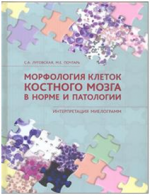 Морфология клеток костного мозга в норме и патологии. Интерпретация миелограмм