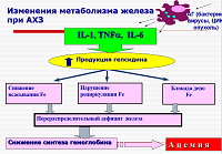 Состоялась научно-практическая конференция «Анемии в клинической практике»