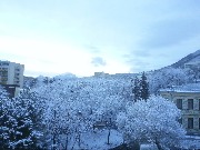 20151203_075546.jpg