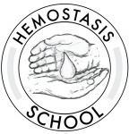 Школа гемостаза состоится в Нижнем Новгороде.