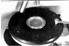 image_2023-08-01_10-58-16 (1).png