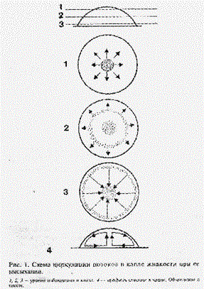 image_2023-08-01_10-58-42.png