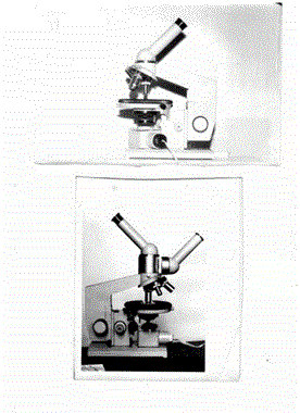 image_2023-08-01_10-57-56 (2).png