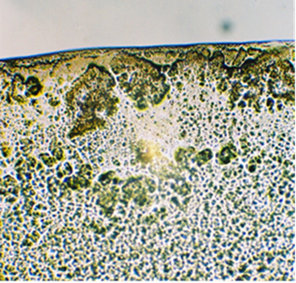 image_2023-08-01_10-58-53 (1).png