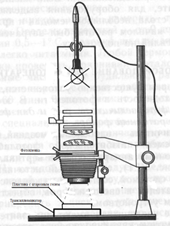 image_2023-08-01_10-59-48.png