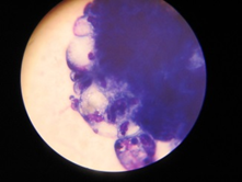 image_2023-08-01_10-59-06 (2).png