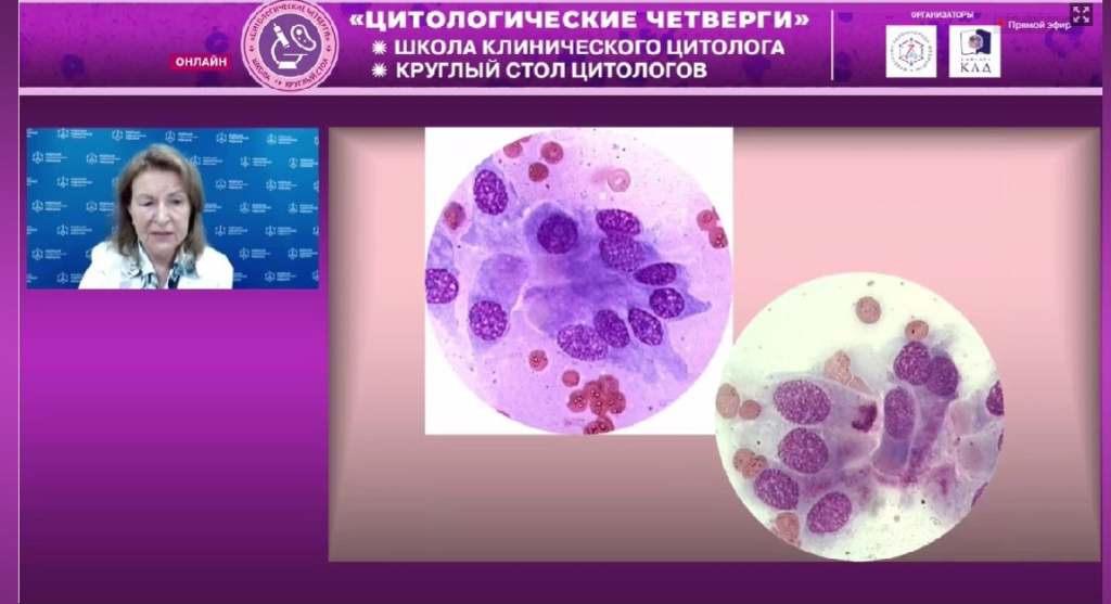 Снимок экрана 2022-06-28 155041.jpg